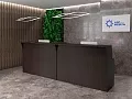 ресепшн Рива Венге